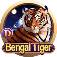 Indian Tiger God